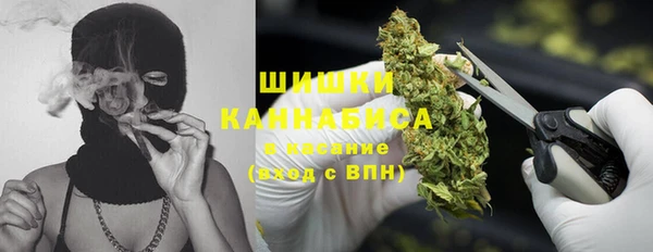 ГАЛЛЮЦИНОГЕННЫЕ ГРИБЫ Горняк