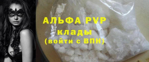 ГАЛЛЮЦИНОГЕННЫЕ ГРИБЫ Горняк