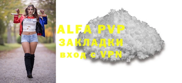 ГАЛЛЮЦИНОГЕННЫЕ ГРИБЫ Горняк