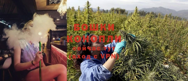 ГАЛЛЮЦИНОГЕННЫЕ ГРИБЫ Горняк