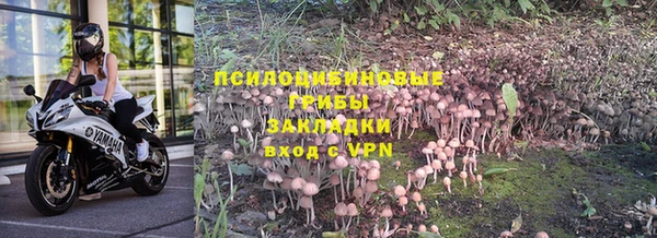 СК Горнозаводск